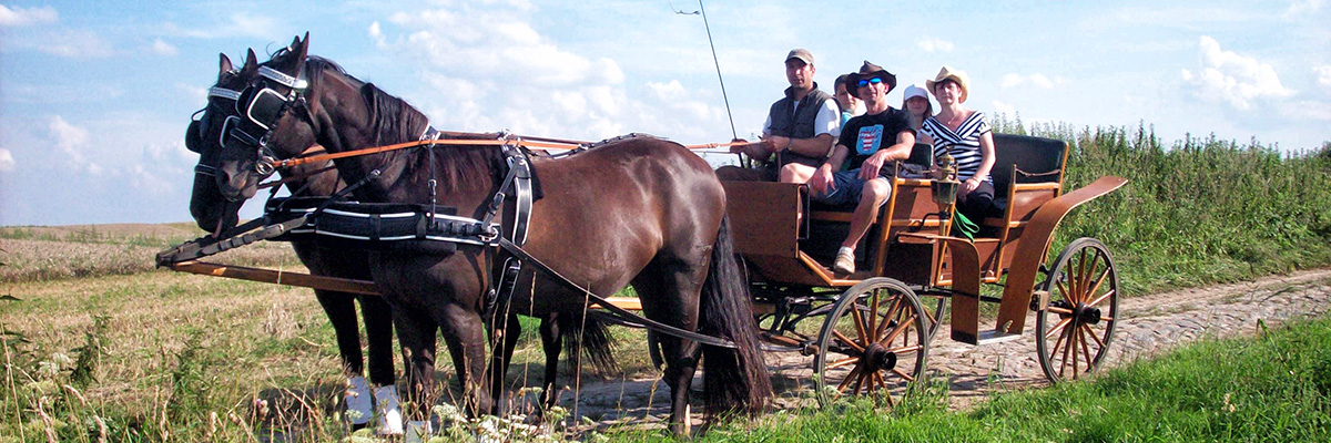 Ausflüge mit Pferd und Kutsche.